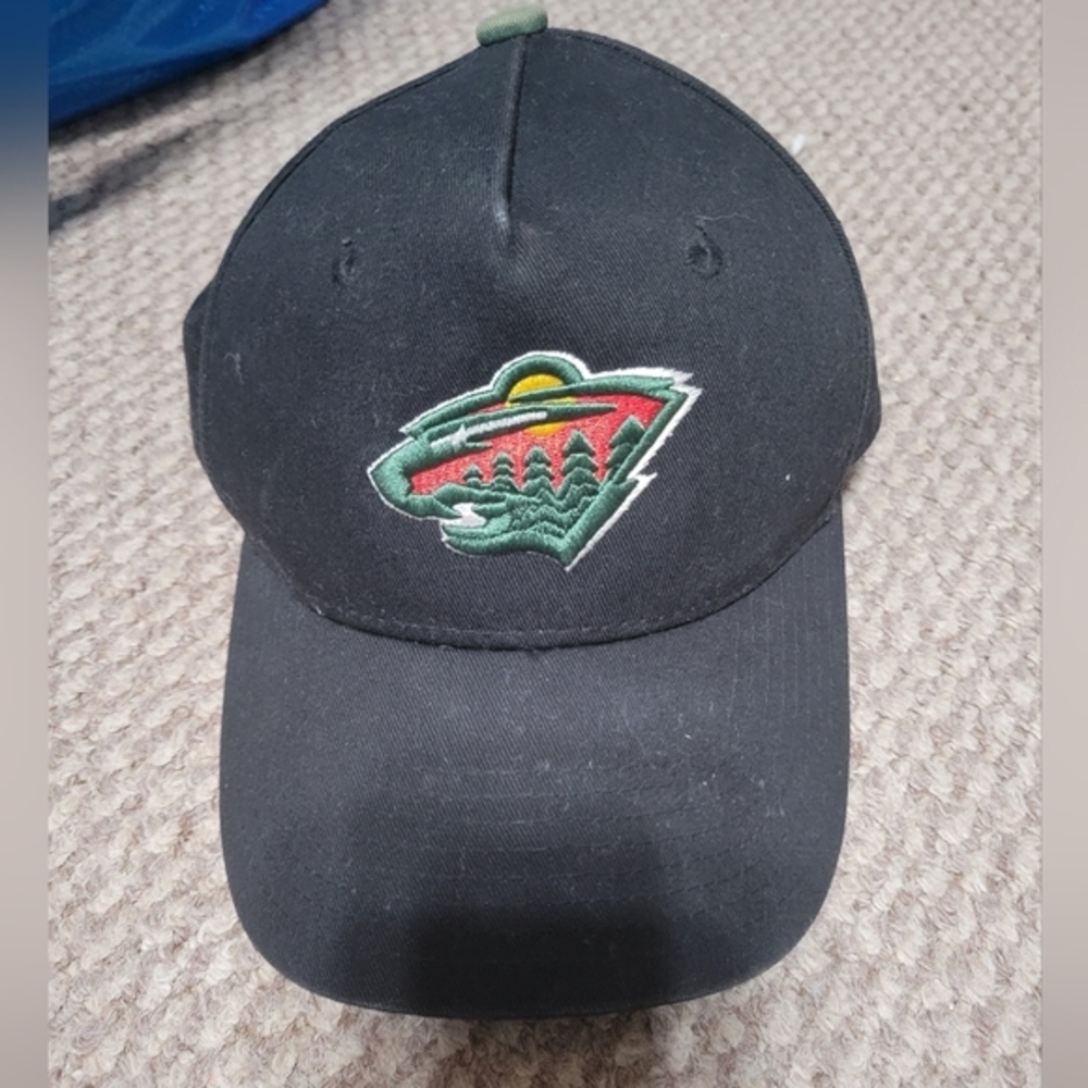 Minnesota‎ Wild youth NHL cap